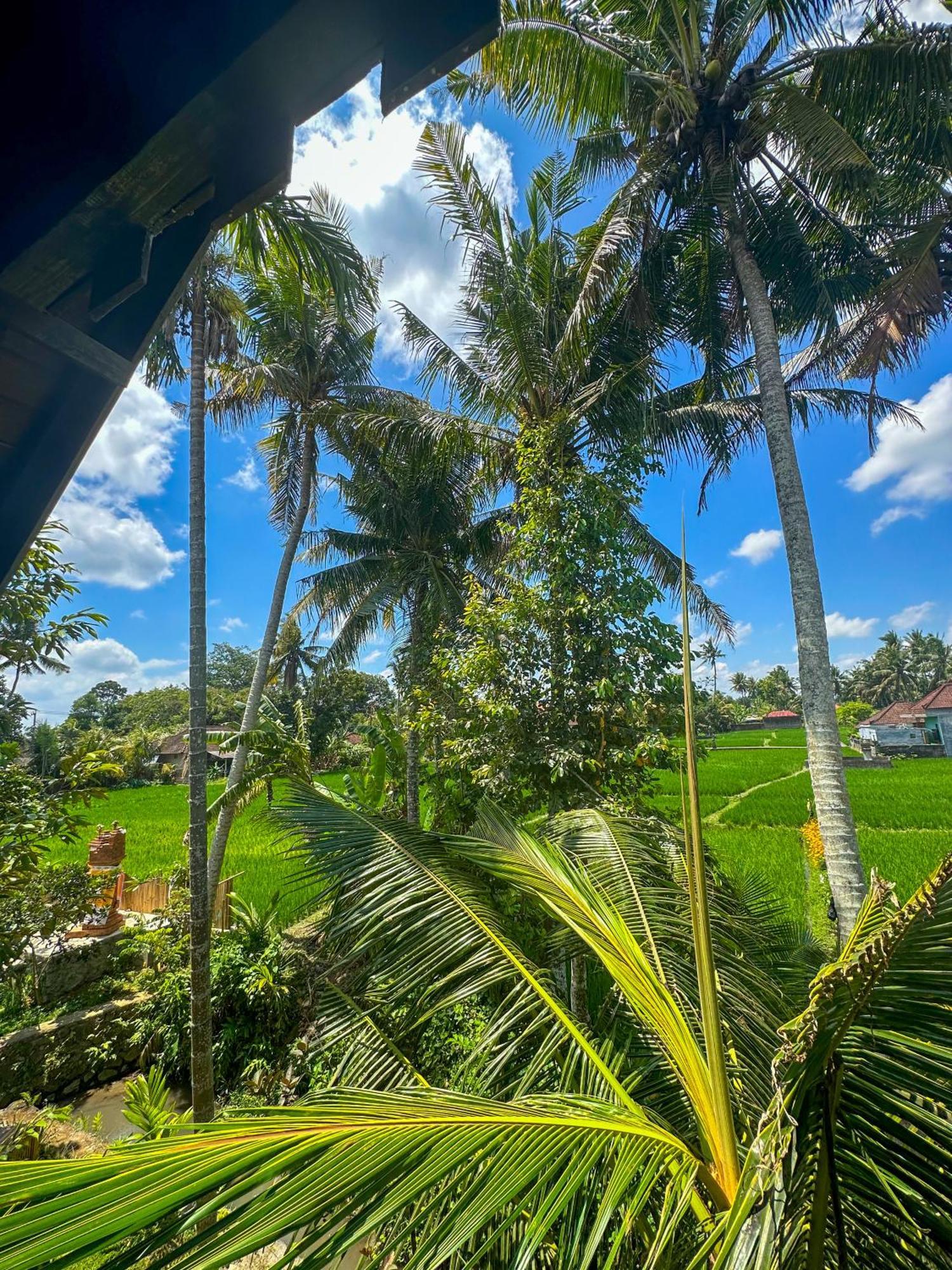 Hotel Nunu Bali Eco Friendly Retreat Canggu Exteriér fotografie