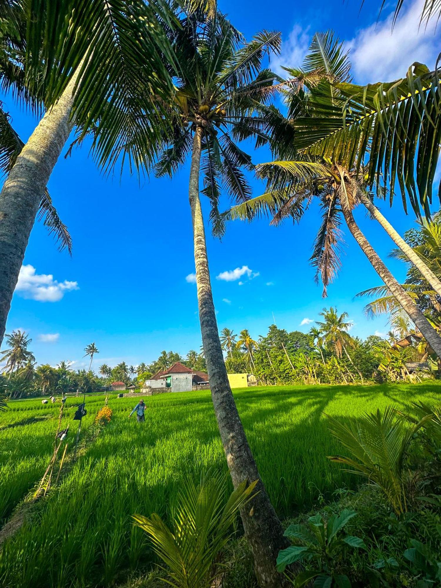 Hotel Nunu Bali Eco Friendly Retreat Canggu Exteriér fotografie