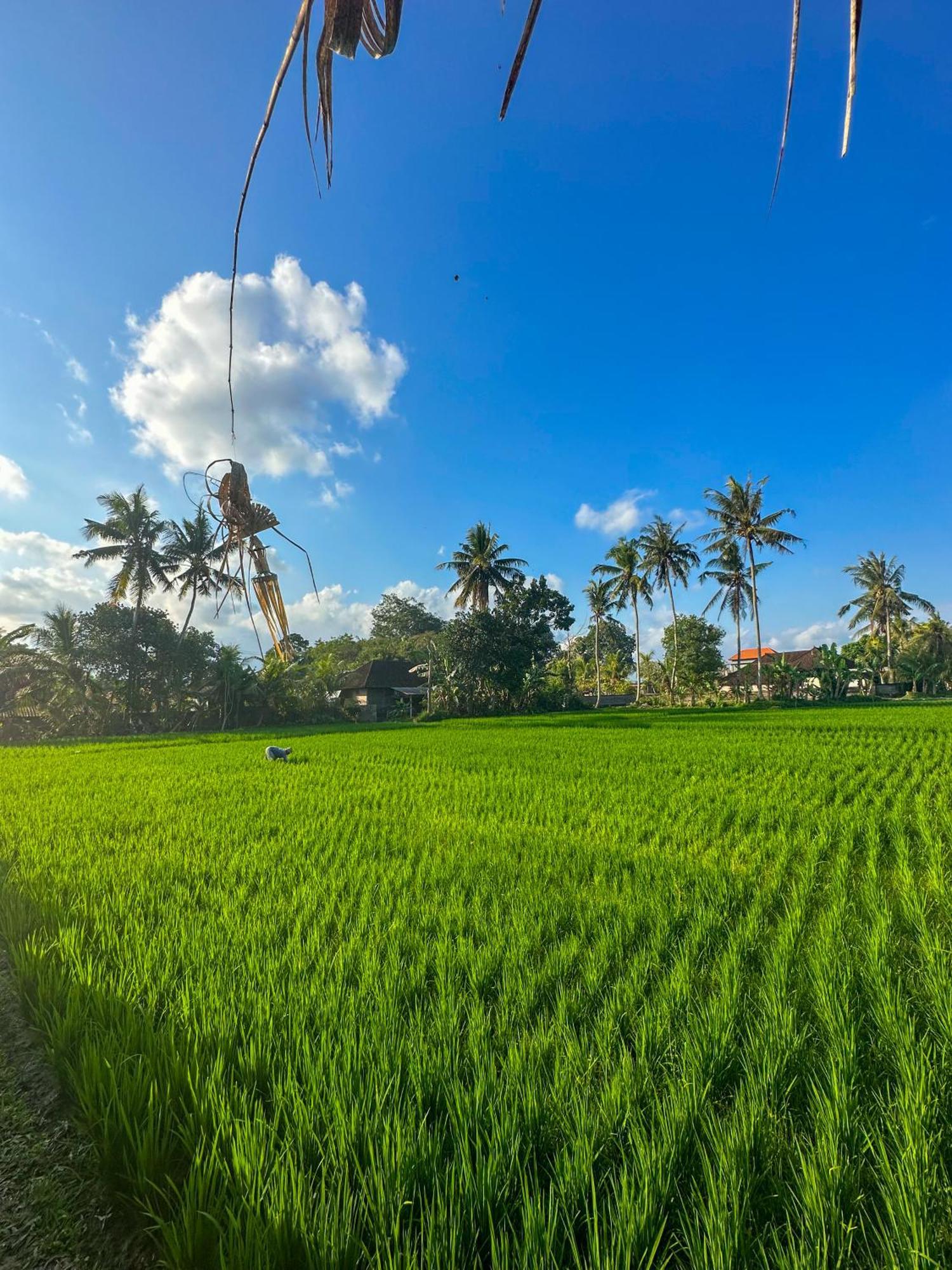 Hotel Nunu Bali Eco Friendly Retreat Canggu Exteriér fotografie